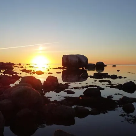 Marika Puhkekuela - Metsanurga Oeoemaja 