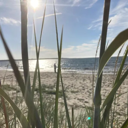 Marika Puhkekuela - Metsanurga Oeoemaja 