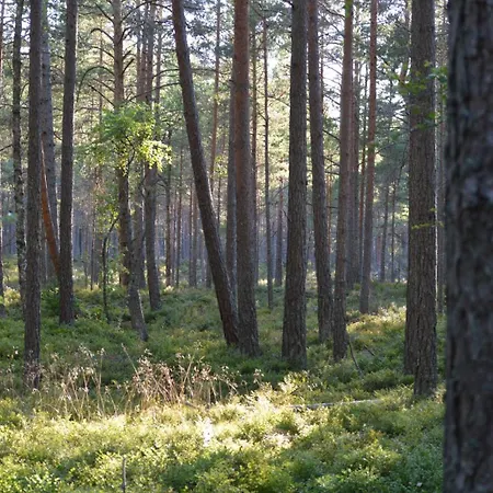 Marika Puhkekuela - Metsanurga Oeoemaja 