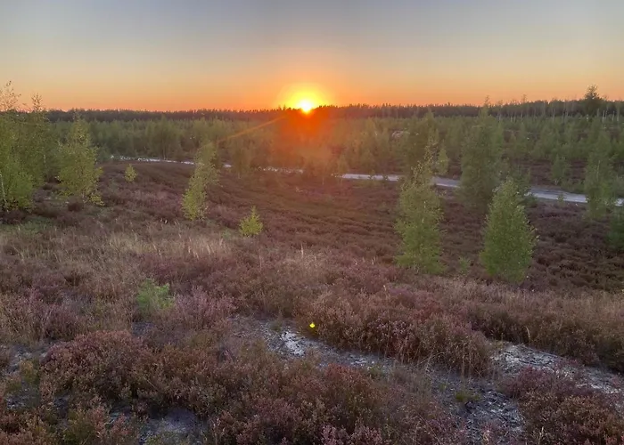 Holiday home Marika Puhkekuela - Metsanurga Oeoemaja 