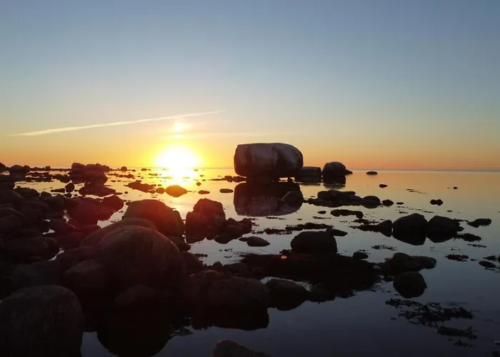 Marika Puhkekuela - Metsanurga Oeoemaja 