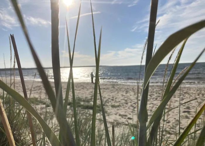 Marika Puhkekuela - Metsanurga Oeoemaja 