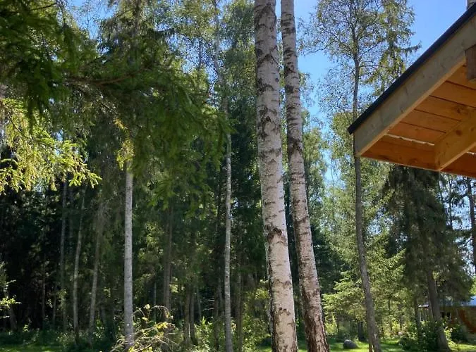 Marika Puhkekuela - Metsanurga Oeoemaja 