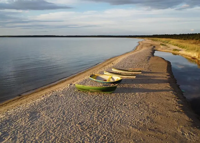 Marika Puhkekuela - Metsanurga Oeoemaja 